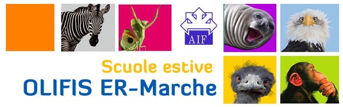 OLIFIS ER Marche